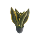 Maceta de Agave Artificial