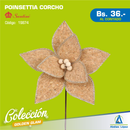 Poinsettia Corcho