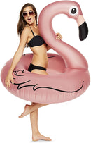 Flotador Flamenco Para Piscina