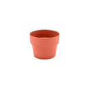 Maceta P Terracota Fechado