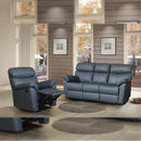 Juego de Living NF-REC 1009